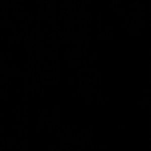 Meet your Posher, Jose